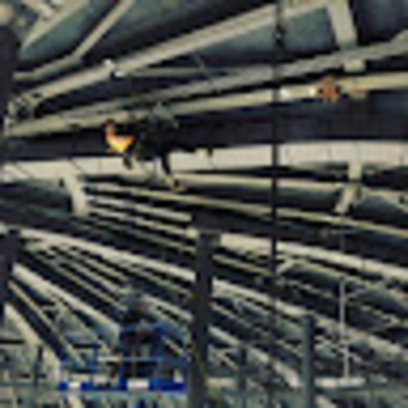 Meet your Posher, Jake - Picture 1 of 1